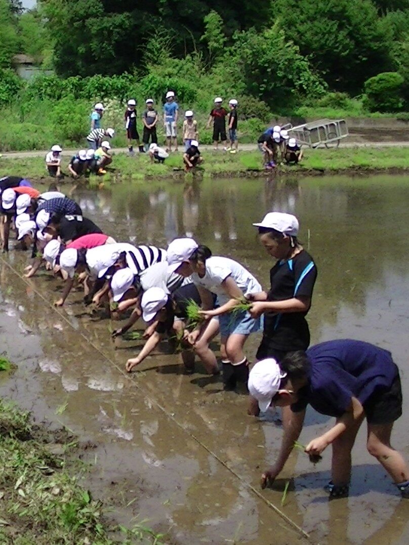 小原地区の農地